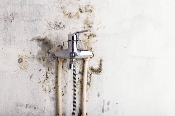 Water Damage Restoration in Dakota Dunes, SD