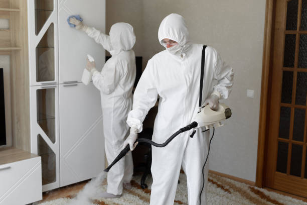 Mold Testing and Removal in Dakota Dunes, SD